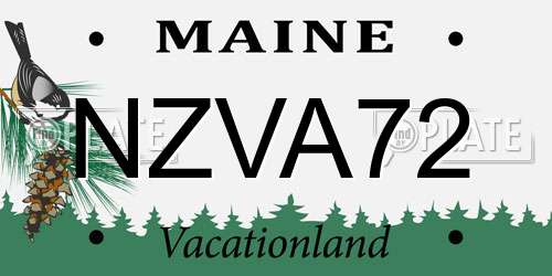 NZVA72 Maine License Plate