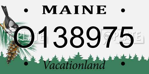 O138975 Maine License Plate