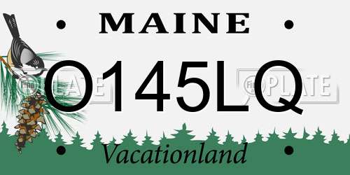 O145LQ Maine License Plate