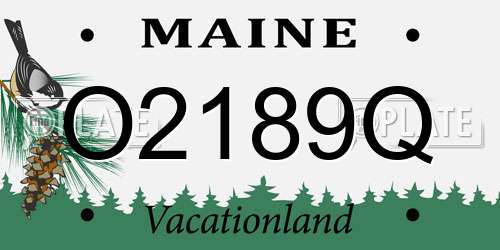 O2189Q Maine License Plate