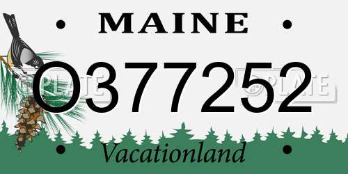 O377252 Maine License Plate