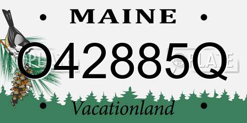 O42885Q Maine License Plate