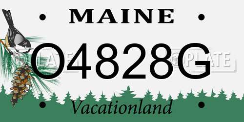 O4828G Maine License Plate