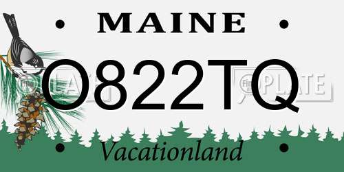 O822TQ Maine License Plate