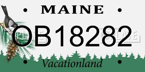 OB18282 Maine License Plate