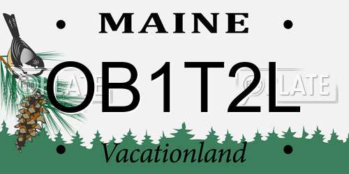 OB1T2L Maine License Plate