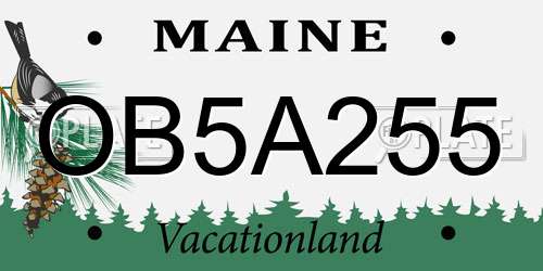 OB5A255 Maine License Plate