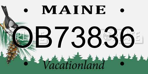 OB73836 Maine License Plate