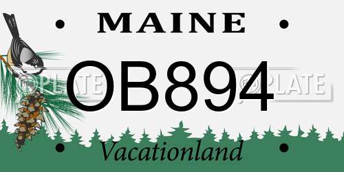 OB894 Maine License Plate