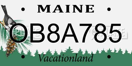 OB8A785 Maine License Plate