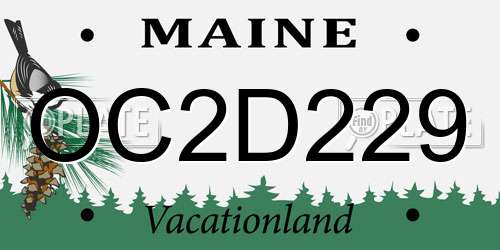 OC2D229 Maine License Plate