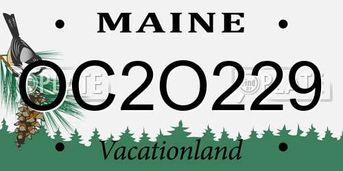 OC2O229 Maine License Plate