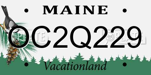 OC2Q229 Maine License Plate