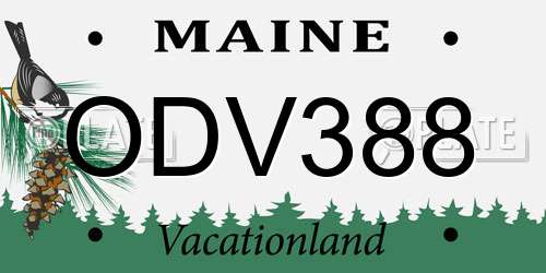 ODV388 Maine License Plate