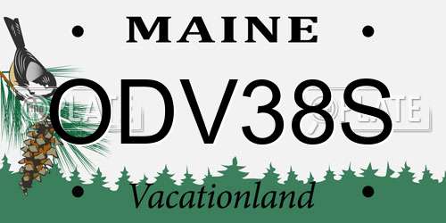 ODV38S Maine License Plate