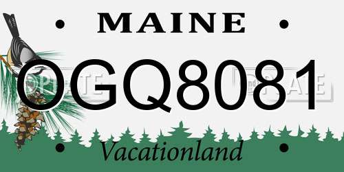 OGQ8081 Maine License Plate