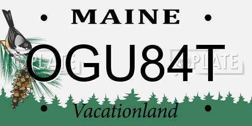 OGU84T Maine License Plate