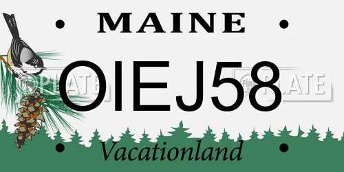 OIEJ58 Maine License Plate