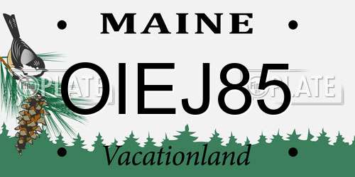 OIEJ85 Maine License Plate