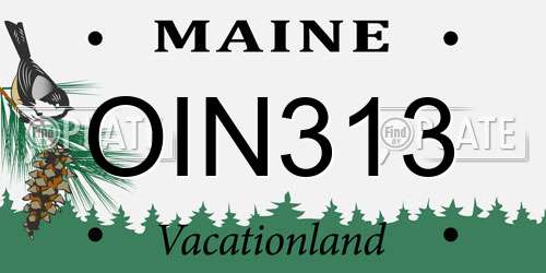 OIN313 Maine License Plate