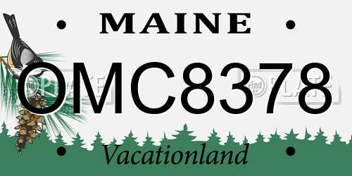 OMC8378 Maine License Plate