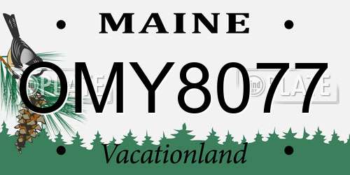 OMY8077 Maine License Plate