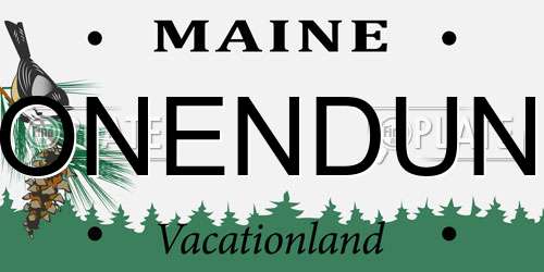 ONENDUN Maine License Plate