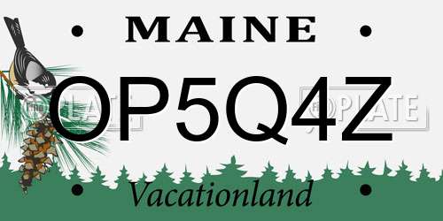 OP5Q4Z Maine License Plate