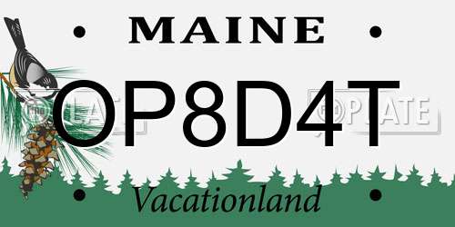 OP8D4T Maine License Plate