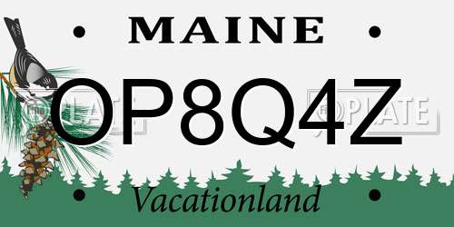 OP8Q4Z Maine License Plate