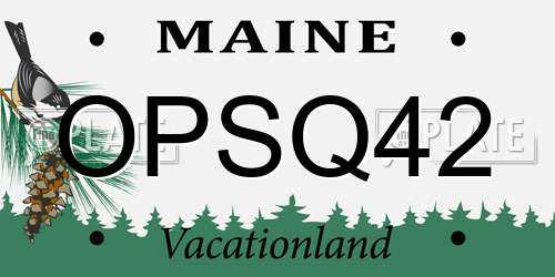 OPSQ42 Maine License Plate