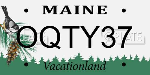 OQTY37 Maine License Plate