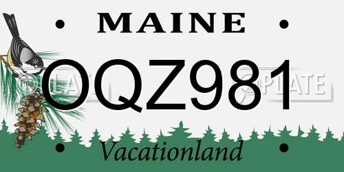 OQZ981 Maine License Plate