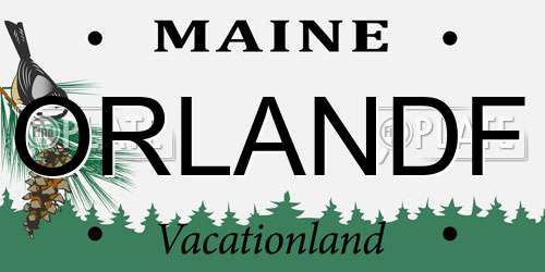 ORLANDF Maine License Plate