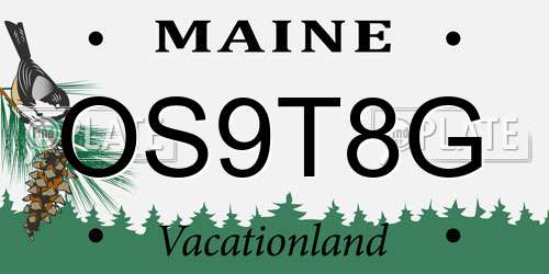 OS9T8G Maine License Plate