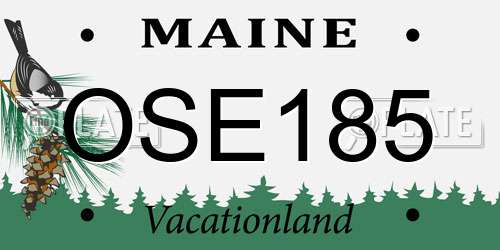 OSE185 Maine License Plate