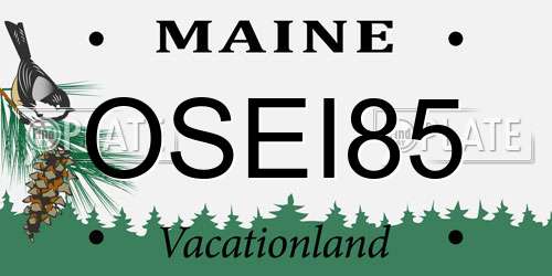 OSEI85 Maine License Plate
