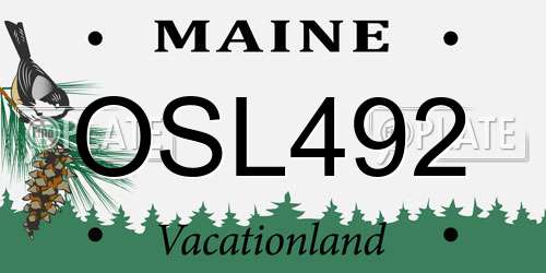 OSL492 Maine License Plate