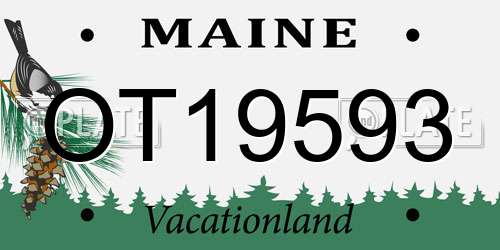 OT19593 Maine License Plate