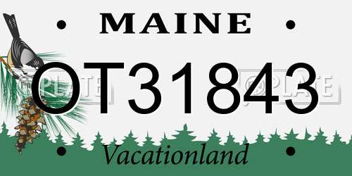 OT31843 Maine License Plate