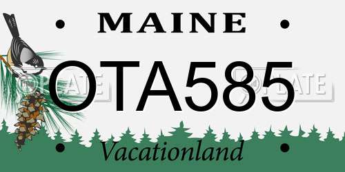 OTA585 Maine License Plate