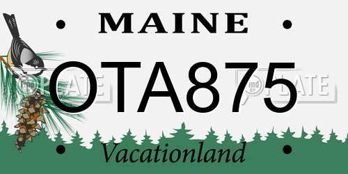 OTA875 Maine License Plate