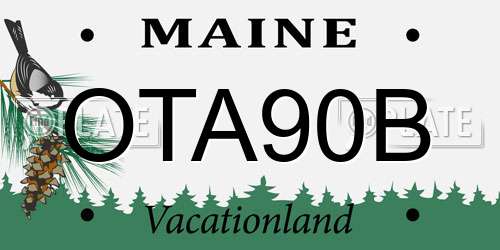 OTA90B Maine License Plate