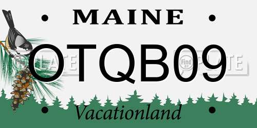 OTQB09 Maine License Plate