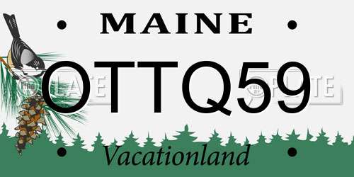 OTTQ59 Maine License Plate