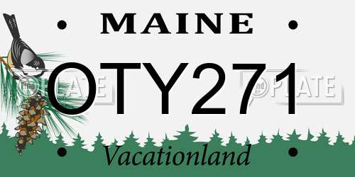 OTY271 Maine License Plate
