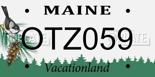 OTZ059 Maine License Plate
