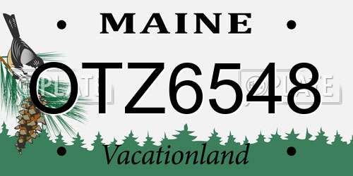 OTZ6548 Maine License Plate