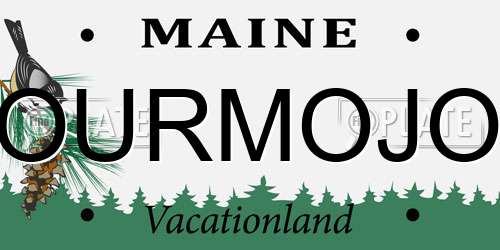 OURMOJO Maine License Plate