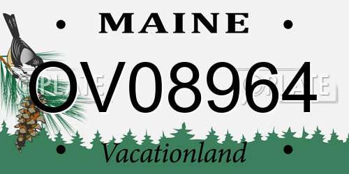 OV08964 Maine License Plate